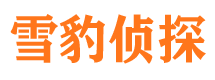 新安侦探公司